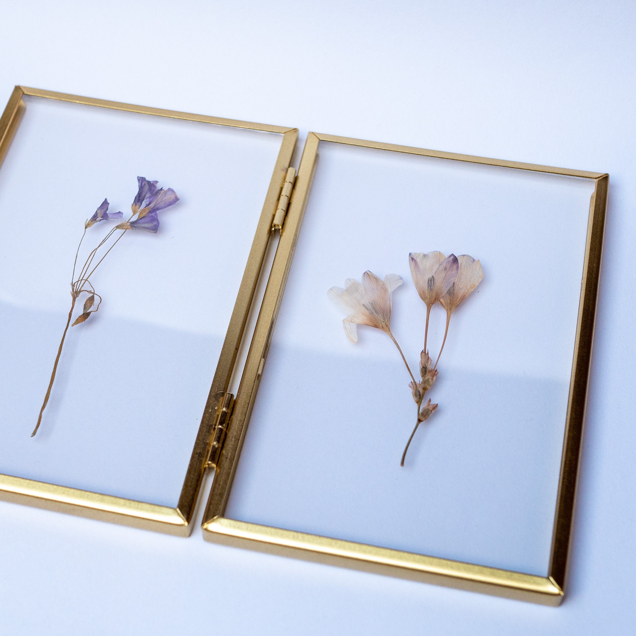 Double Frame of Dried Flowers - Etsy