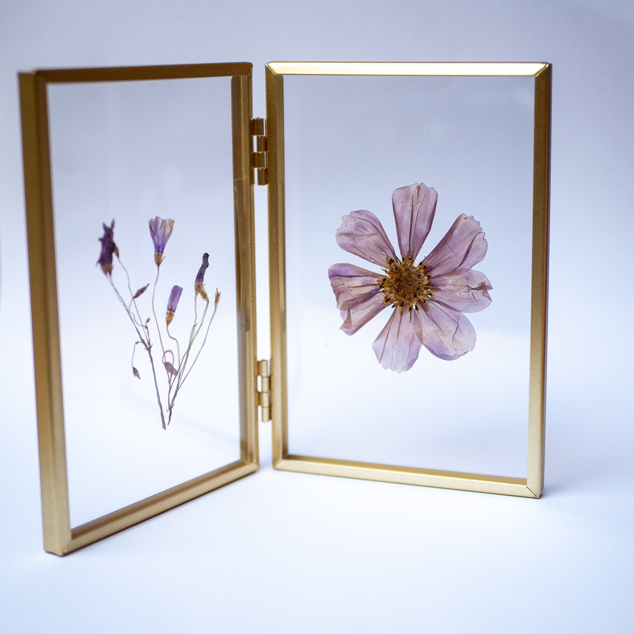 Double Frame of Dried Flowers - Etsy