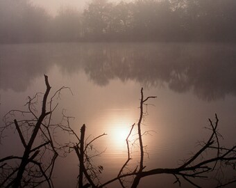 Photography, Nature Prints, Art and Collectibles, Fine Art Photos on Metal