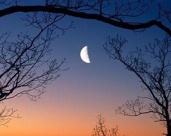 Photography, Nature Prints, Art and Collectibles, Fine Art Photos on Metal