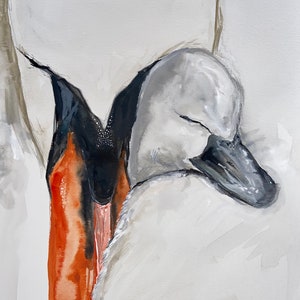 Swan & baby 1