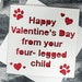 Valentines Card from Pet, card from dog, card from cat, rabbit, wife, husband, valentine, cute card, greeting card, girlfriend, boyfriend