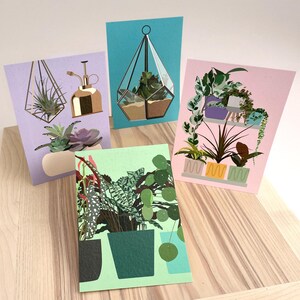 Lot de quatre grandes cartes postales - illustrations originales de plantes d'intérieur