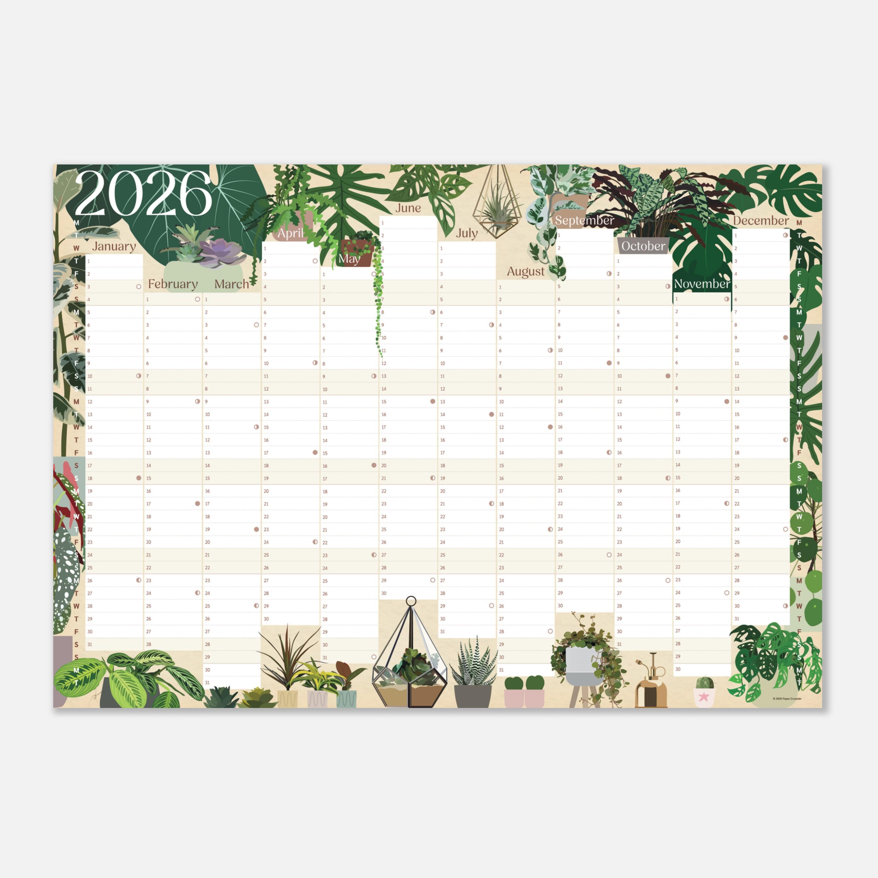 gratis saatgut 2024 Bio-Mangold (Grn)  Little Plants