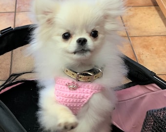 Puppy Harness, Tiny Teacup Princess Dog Vest w/Tiara, 2 to 3 Lbs XXS, Crochet Cotton Vest