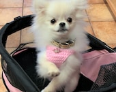 Puppy Harness, Tiny Teacup Princess Dog Vest w Tiara, 2 to 3 Lbs XXS, Crochet Cotton Vest