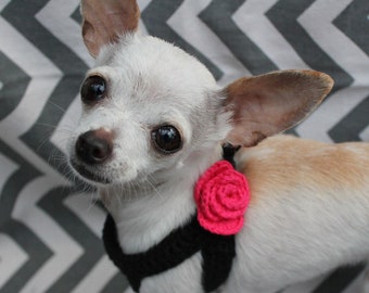 harness for 3 pound dog