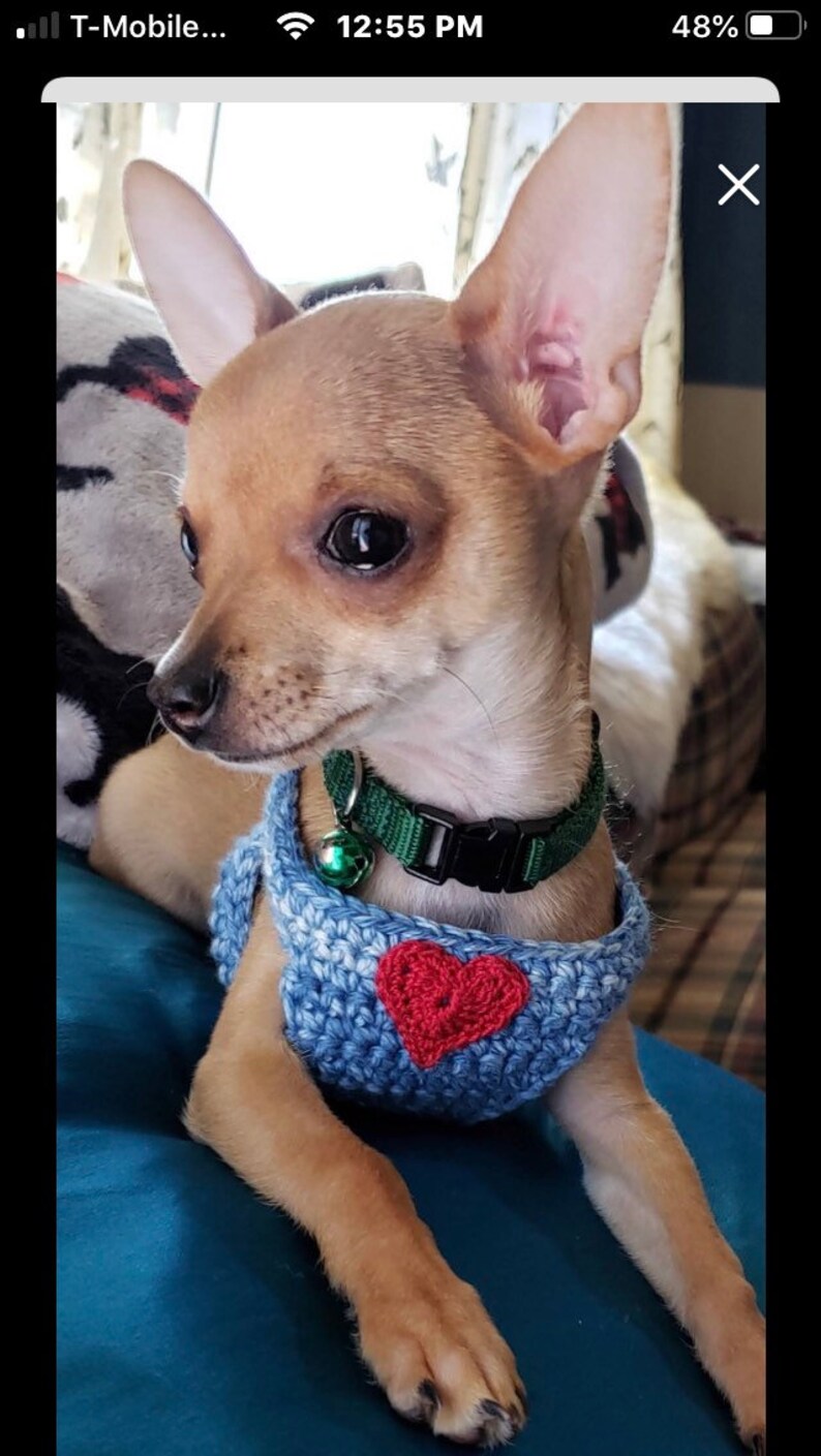 Teacup Puppy Harness 2 to 3 Lb Tiny Dog XXS Soft Cotton Etsy