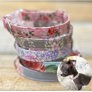 May include: A stack of four colorful floral dog collars, with a small chihuahua wearing one of the collars in the background.