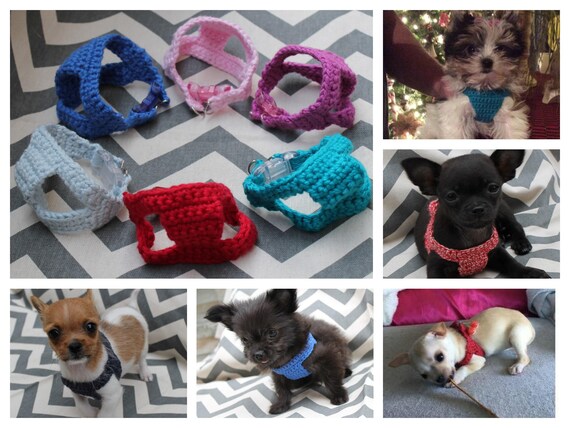 Teacup Puppy Kitten Harness Teeny Tiny 