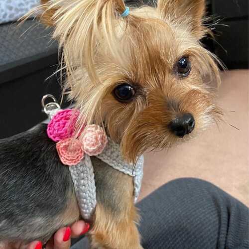 Teacup Harness for 2 Lb Puppy Dog XXS Gray Cotton Vest W/pink Etsy