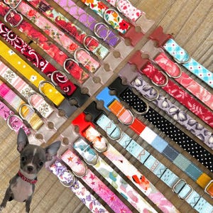 Teeny Tiny Teacup Puppy Collar, Litter ID, 4.5 - 6.5 Inches for Very Small Puppies XXXS