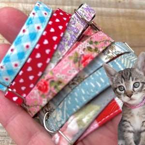 May include: A selection of colorful cat collars in various patterns, including blue gingham, red hearts, and floral designs. A gray tabby kitten with a pink collar is also in the image. The collars are made of fabric and have metal buckles.