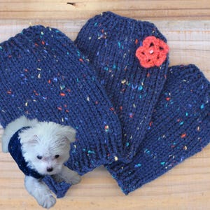 Teacup Puppy Dog Sweater, Teeny Tiny Rustic, 1 - 2 Lbs, First Puppy Coat