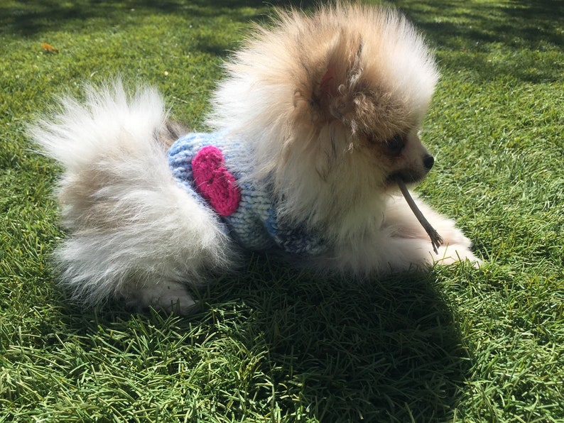 Teacup Puppy Dog Sweater XXXS/XXS 1 1/2 2 Lb Denim Colored Etsy