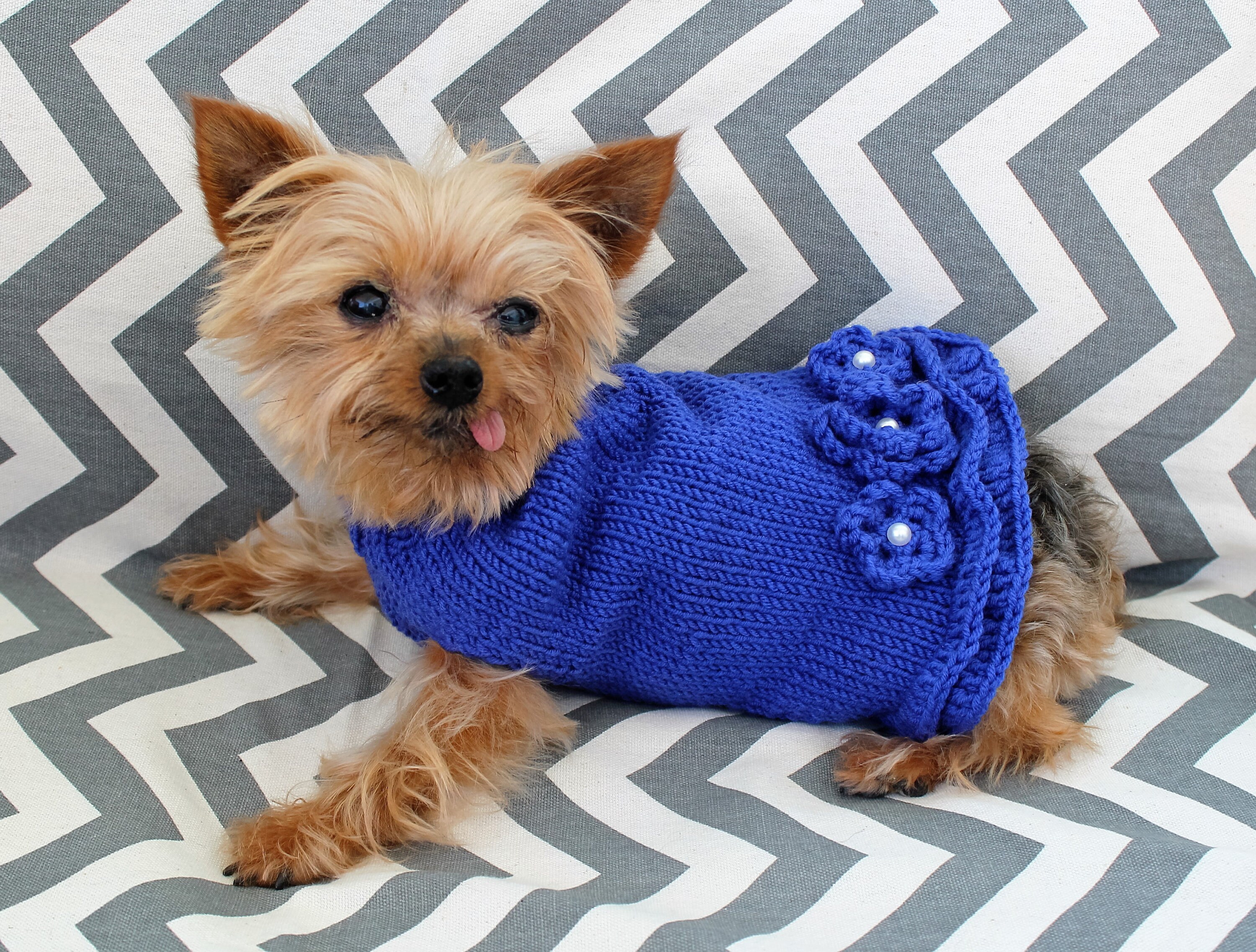 Teacup Puppy Dog Sweater, Dress, XXS/XS 2 1/2 to