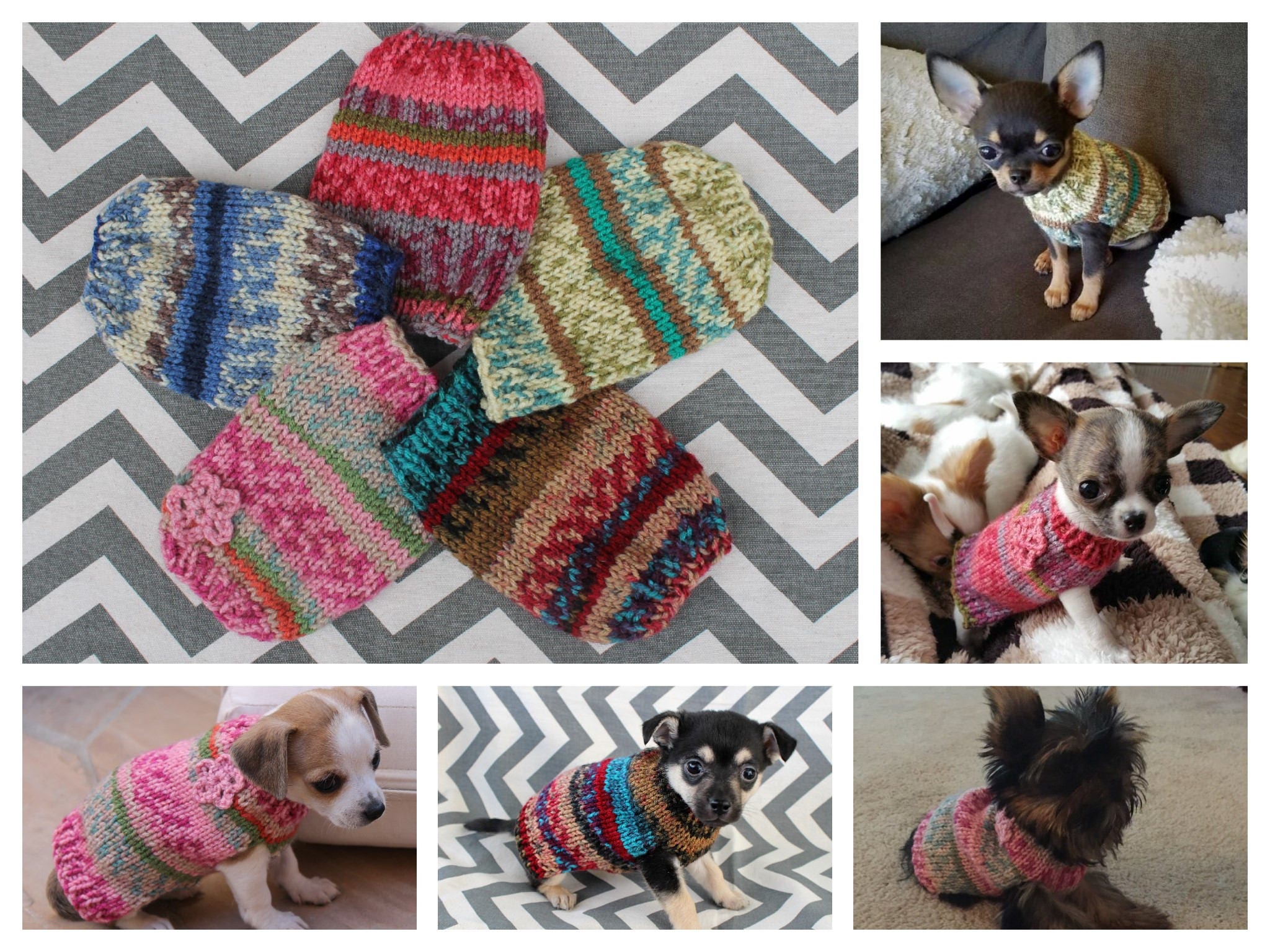 Teacup Puppy Sweater Kitten Teeny Tiny Dog XXXS/XXS 1 2 lb | Etsy