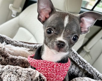 Teacup Dog Harness, Sock Monkey Puppy Vest, Tiny 2 to 3 Lbs, XXS Soft Cotton with Button Option