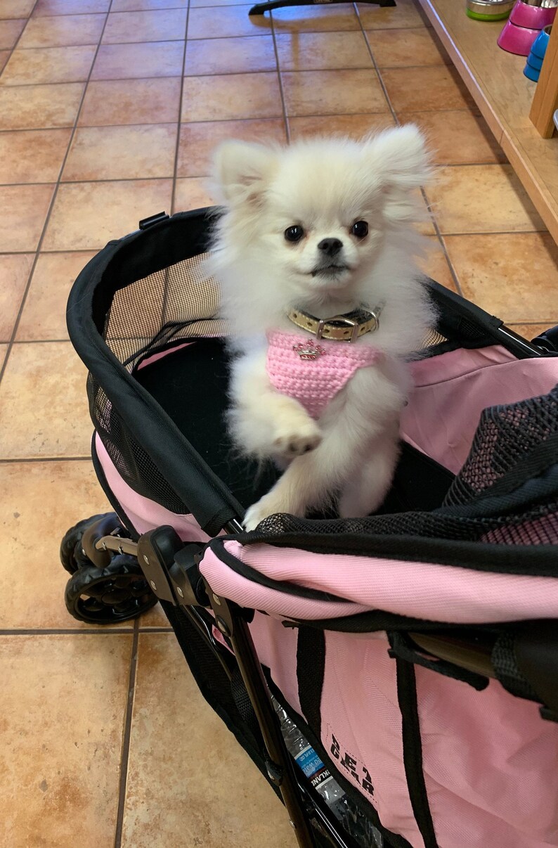 Puppy Harness for Tiny Teacup Dog Princess Tiara Vest 2 to Etsy