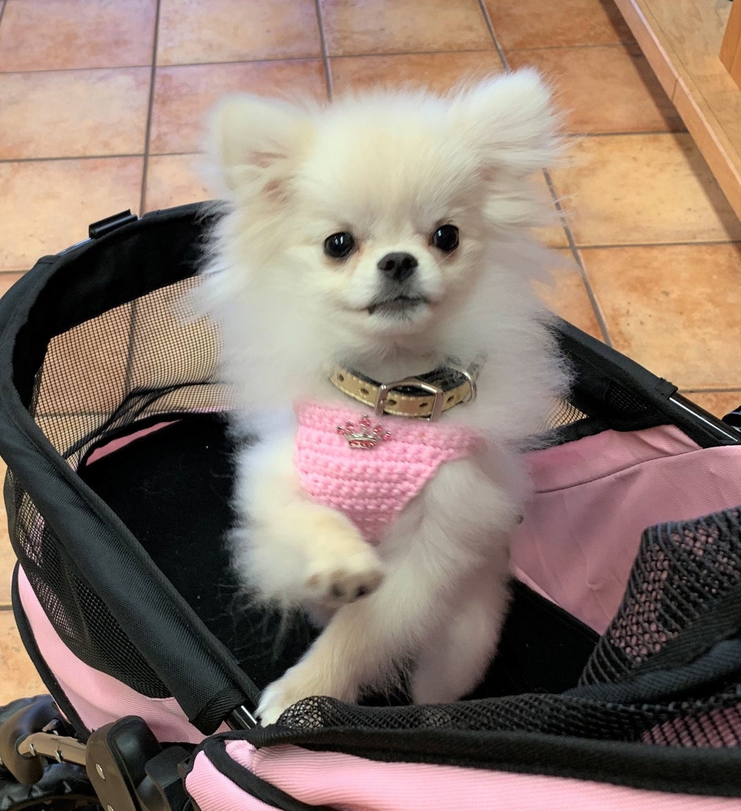 Puppy Harness, Tiny Teacup Princess Dog Vest W/tiara, 2 to 3 Lbs XXS