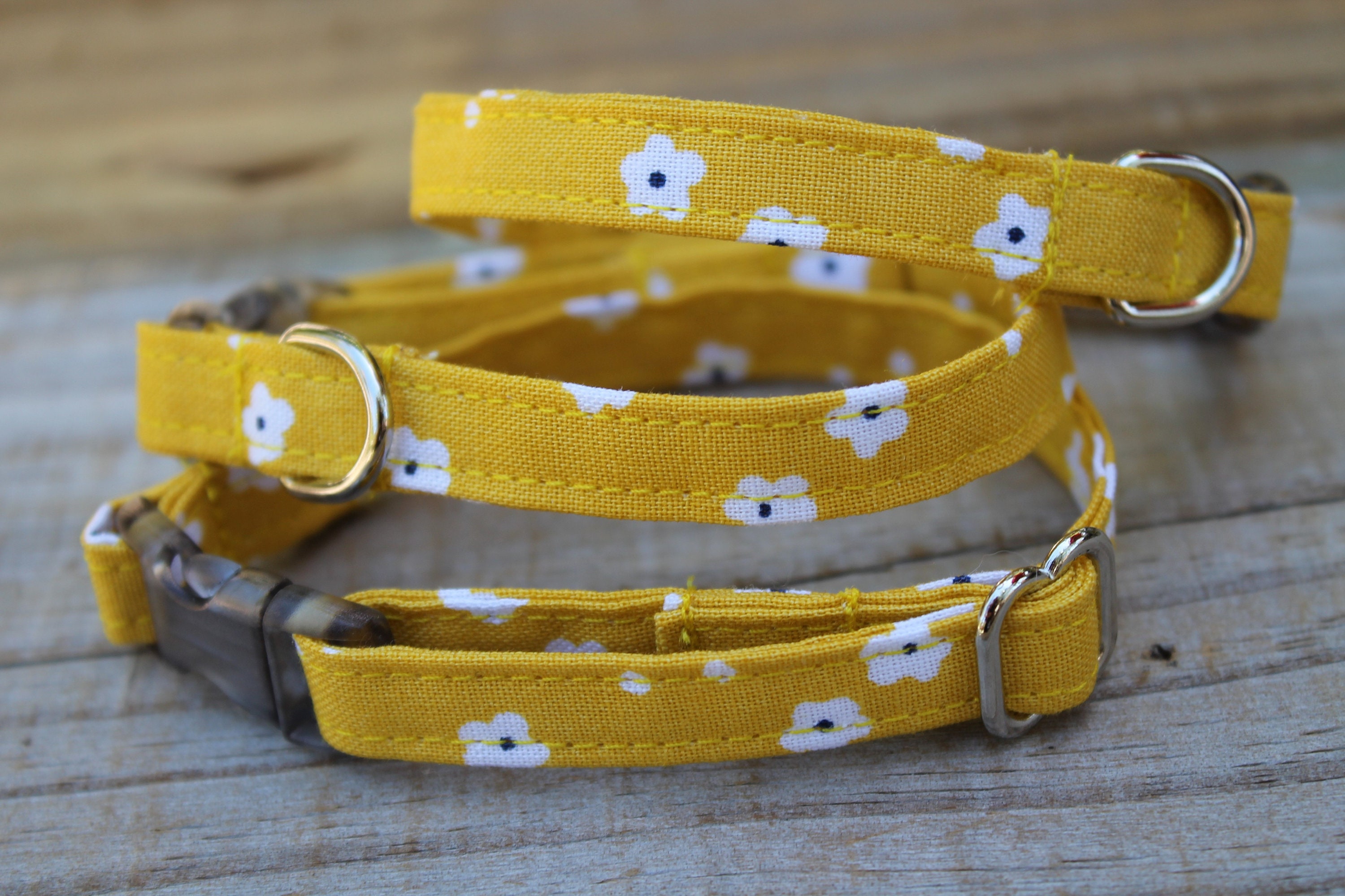 teacup dog collar