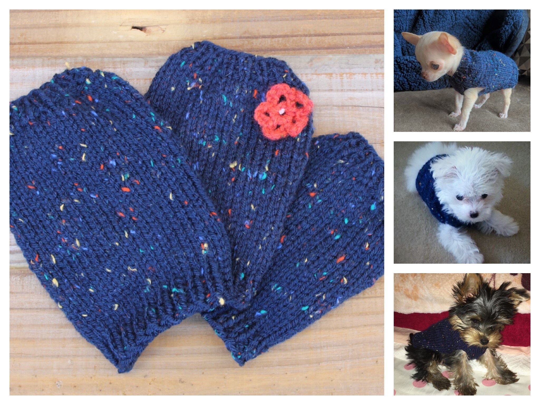 Teacup Puppy Dog Sweater Teeny Tiny Rustic 1 2 Lbs First