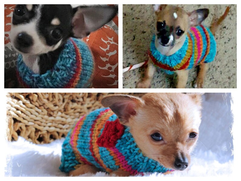 Teacup Puppy Dog Kitten Sweater Teeny Tiny XXXS 1 2 Lbs in Etsy