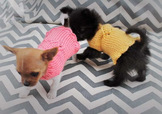 teacup puppy sweaters