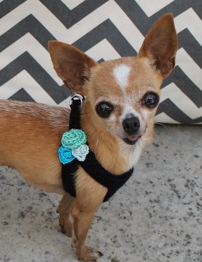 teacup dog harness vest