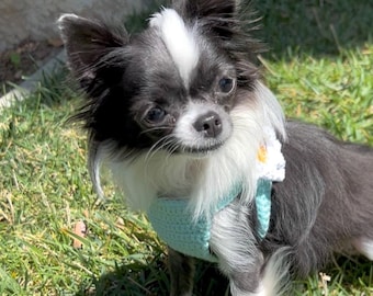 Teacup Puppy Harness: Aqua Crochet Cotton Vest with Full Daisy (2-3 Lb XXXS/XXS)