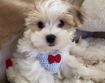 Teacup Puppy Harness, for 2 to 3 Lbs, Red Bow Tie, XXXS/XXS, Dog Vest