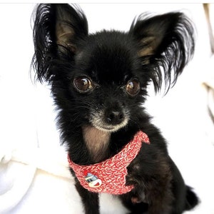 harness for 3 pound dog