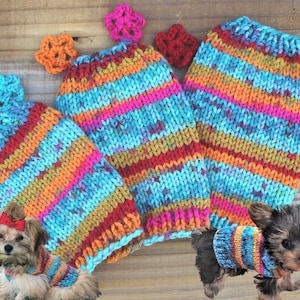 Teacup Puppy Dog Kitten Sweater, Teeny Tiny XXXS 1 - 2 Lbs in Turquoise Stripes