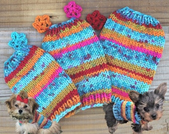Teacup Puppy Dog Kitten Sweater, Teeny Tiny XXXS 1 - 2 Lbs in Turquoise Stripes