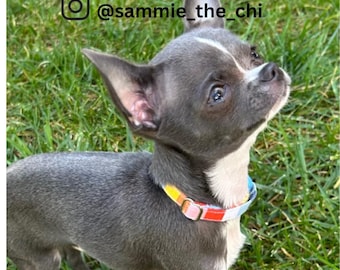 Teacup Puppy Dog Collar, Pet XXXS/XXS/XS 6-9 Inches SoCal Beachy Stripes