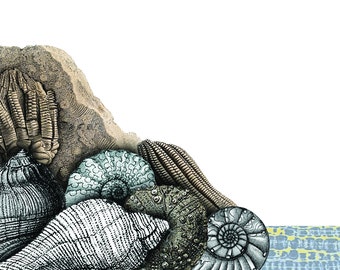 Könnte beinhalten: Eine Sammlung versteinerter Meeresbewohner, darunter ein Trilobit, ein Ammonit und ein Crinoid, sind auf einem Stein angeordnet. Die Fossilien sind in Grautönen, Braun- und Weißtönen.