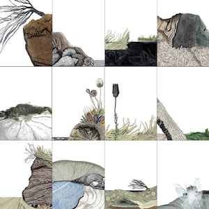 K&ouml;nnte beinhalten: Eine Sammlung von neun digitalen Illustrationen, die verschiedene K&uuml;stenlandschaften darstellen. Jede Illustration zeigt eine einzigartige Kombination aus Felsen, Pflanzen und Wasserelementen, die ein Gef&uuml;hl von nat&uuml;rlicher Sch&ouml;nheit und Ruhe vermittelt.