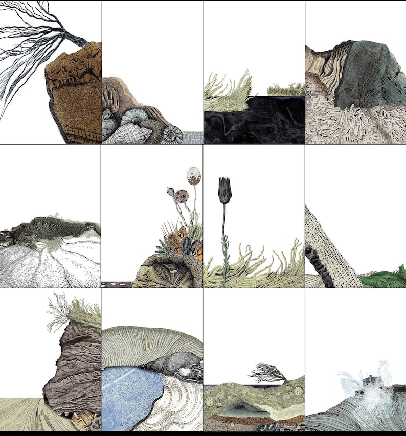 K&ouml;nnte beinhalten: Eine Sammlung von neun digitalen Illustrationen, die verschiedene K&uuml;stenlandschaften darstellen. Jede Illustration zeigt eine einzigartige Kombination aus Felsen, Pflanzen und Wasserelementen, die ein Gef&uuml;hl von nat&uuml;rlicher Sch&ouml;nheit und Ruhe vermittelt.