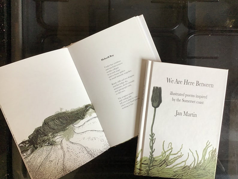 K&ouml;nnte beinhalten: Zwei B&uuml;cher mit wei&szlig;en Umschl&auml;gen und gr&uuml;nen Illustrationen. Das Buch links ist auf einer Seite mit einer Schwarzwei&szlig;illustration einer Muschel ge&ouml;ffnet. Das Buch rechts tr&auml;gt den Titel "We Are Here Between" und den Text "illustrated poems inspired by the Somerset coast" und "Jan Martin".