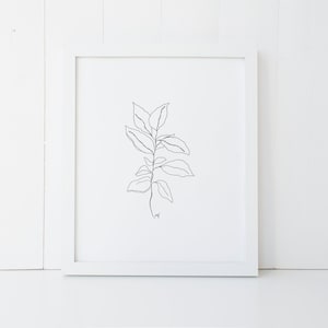 INSTANT DOWNLOAD, Line plant botany print, Pencil leaf drawings, botanical art, Botanical prints, Minimalist prints, Black and white prints