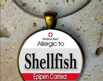 Medic Alert, Medical Alert Bag Tag - Allergic to Shellfish & Epipen Carried, Medical Alert, Backpack Tag, Bag Tag,Sports Bag Tag, Keychain