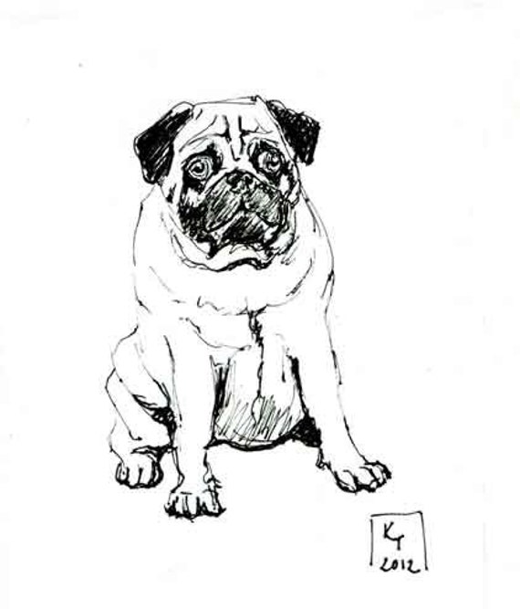 Pug Black and White Line Art Dog Drawing/ Pug Sketch Drawing/ - Etsy México Pug Black and White Line Art Dog Drawing/ Pug Sketch Drawing/ - Etsy México