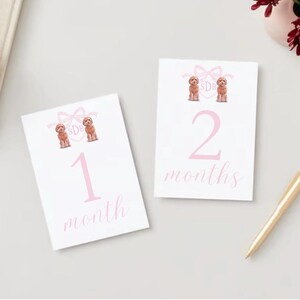 Cartes bébé étape importante - écusson personnalisé avec ou sans chien