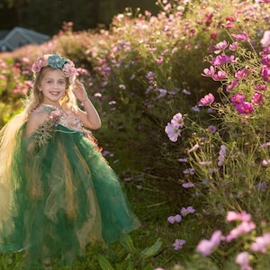 Puede incluir: Una niña pequeña con un vestido de tul verde y dorado y una corona de flores se encuentra en un campo de flores cosmos rosas y blancas.