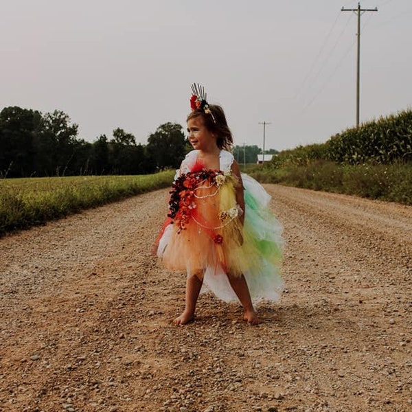 Pastel Rainbow Smash Cake Tutu Dress Cosplay Costume, Toddler Garden Flower Fairy Dress Photography Costume, Renaissance Festival Costume