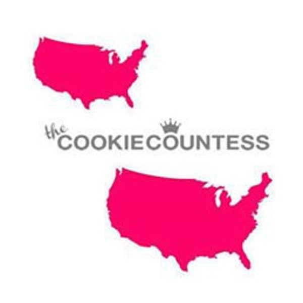 FAST SHIPPING!!! USA Map Stencil, Cookie Stencil, Map Cookie Stencil, 4th of July Stencil, Memorial Day Cookie, Cake Stencil.