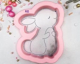 Fast Shipping!!! Bunny Stencil and Cookie Cutter, Easter Cookie Stencil, Baby Cookie Cutter, Easter Cookie Cutter, Bunny Cookie Cutter