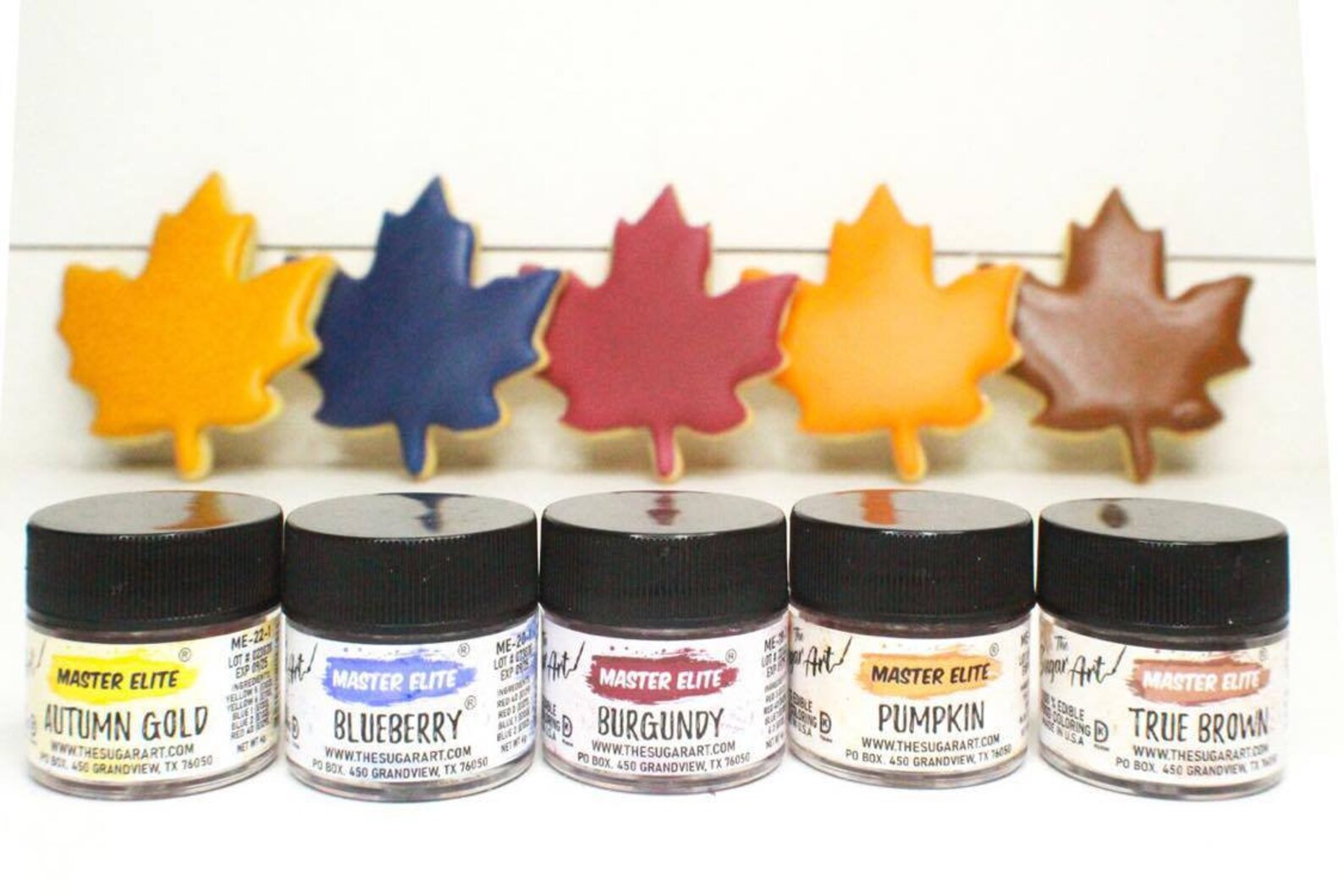 FAST SHIPPING FALL Master Elite Colors Set of 5 Colors The Etsy
