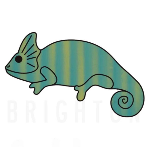 Fast Shipping!! Chameleon Cookie Cutter by Brighton Cutters, Chameleon Cookie Cutter, Lizard