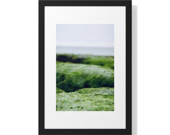 Point Reyes, California - Nature 3 (Framed Vertical Poster)